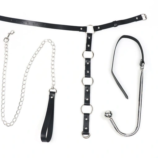 Anal Hooks Collar and 5853 Anal Leash Kinky Hook EverydayUse with 0111